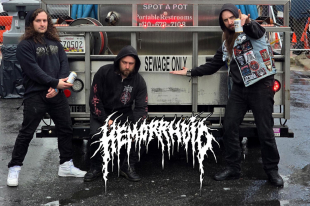HEMORRHOID